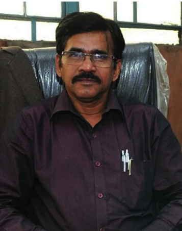 The German couple set a world record by decorating their house with 555 Christmas trees (photos)