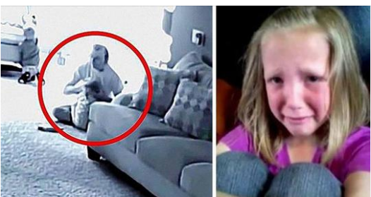 A Heartwarming Mystery Unfolds in a Suburban Home