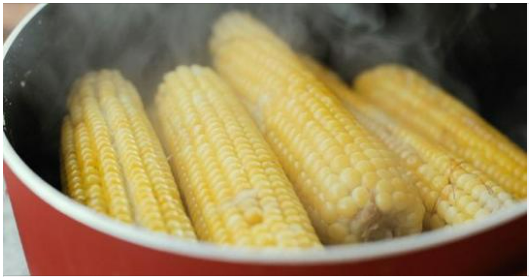 How Long Does It Take to Boil Corn on the Cob to Get Ideal Cooking?