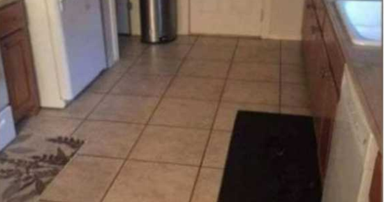 Can you find the large dog hiding in this kitchen?