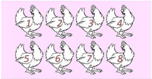 ARE YOU A GENIUS? NOBODY CAN DETERMINE WHICH CHICKEN IS DIFFERENT.