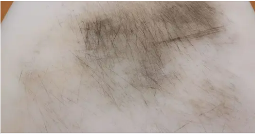 How to Clean Plastic Cutting Boards Effectively