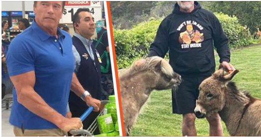 Money can’t buy true happiness, so despite a $400 million fortune, Arnold Schwarzenegger lives a low-key life on his farm