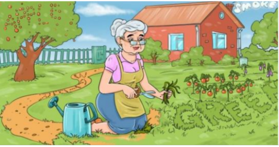 Find 4 hidden words in this picture! Give it a try!