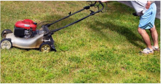 Felix put his head in his hands and sighed. No matter how often he went through the monthly figures for his home handyman business, he couldn’t deny the facts. He was facing another shortfall this month