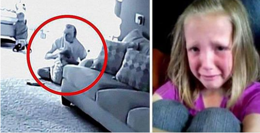 A Heartwarming Mystery Unfolds in a Suburban Home