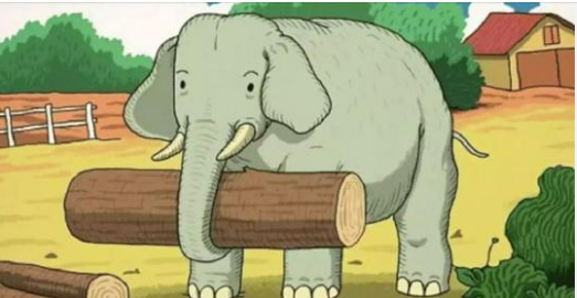 Visual test: Only those with the eyesight of a hawk can find the 7 animals hidden in the image 