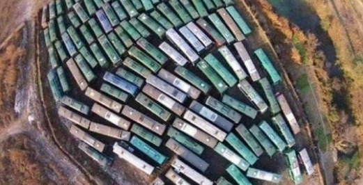 Can You Get This Simple Insight Test Right?