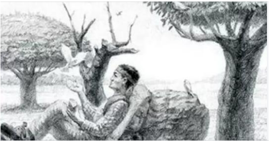 Optical illusion. Can You Find The Hidden Horse Within 8 Seconds