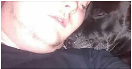Man decides to take his own life – then he realizes what’s in his dog’s mouth