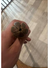 Found this in my grandpa’s house… Help me understand what it is please