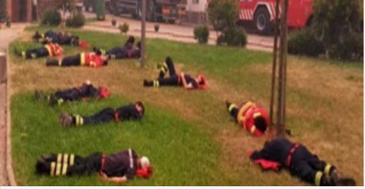 What The Bystander Observed On The Lawn Shocked Him