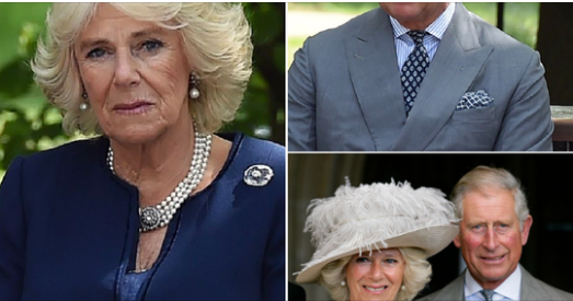 Queen Camilla to take a break from royal duties weeks after King Charles’ cancer diagnosis 