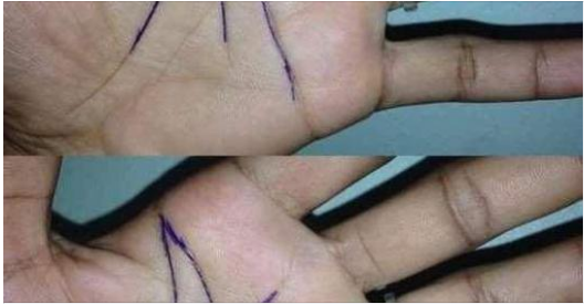 The Secret Meaning of the “M” on Your Palm
