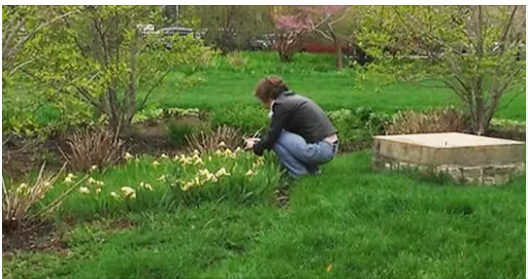 My Neighbor Sneaked into My Yard with a Shovel, Thinking I Wasn’t Home — I Was Shocked When I Saw What She Dug up from My Lawn 