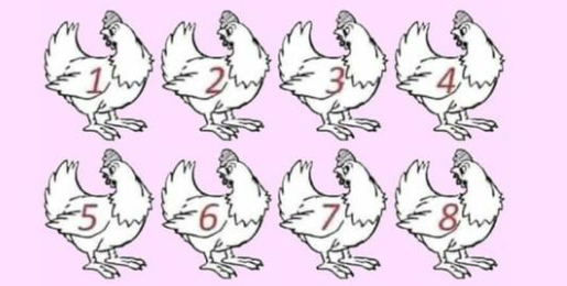 ARE YOU A GENIUS? NO ONE CAN FIGURE OUT WHICH CHICKEN IS DIFFERENT.