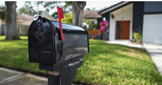 How to Keep Wasps Away from Your Mailbox