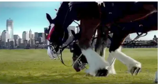 This touching 9/11 Budweiser commercial paying tribute to our nation only aired once