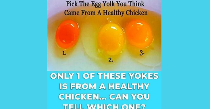 How to Choose Healthy Eggs for Cooking