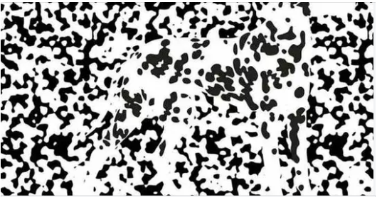 Optical Illusion IQ Test: Only 1% Visually Sharp Can Spot The Dog In 12 Seconds!