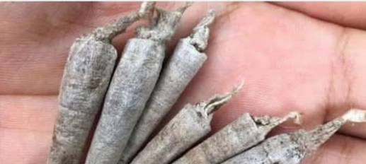 If you know this, your childhood was rough