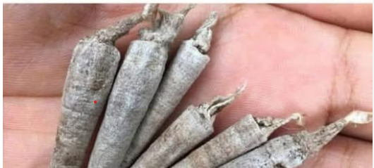 If you know this, your childhood was rough