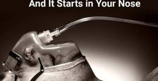 11 Signs You Are About to Die 